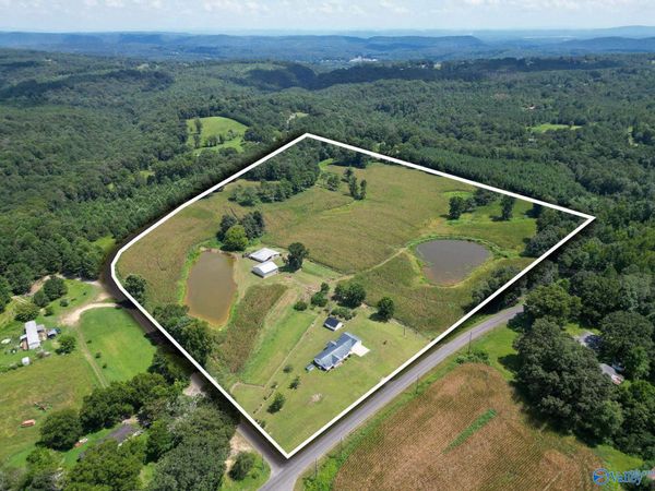 2828 Egypt Road, Altoona, AL 35952