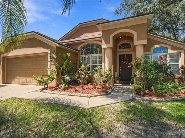 19014 SILVERBROOK DRIVE, TAMPA, FL 33647