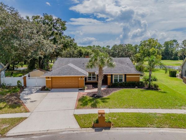 1409 HOLLEMAN , VALRICO, FL 33596