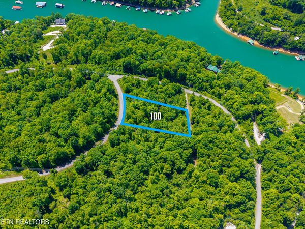 Lot 100 Saddleridge Drive, Speedwell, TN 37870