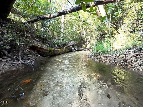 Cephas Smith Lane, Jayess, MS 39641