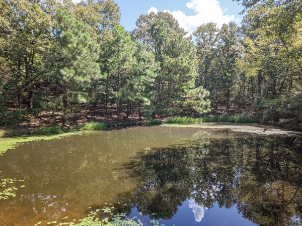 0 Point Mason Rd , Unit 2, Big Sandy, TN 38221