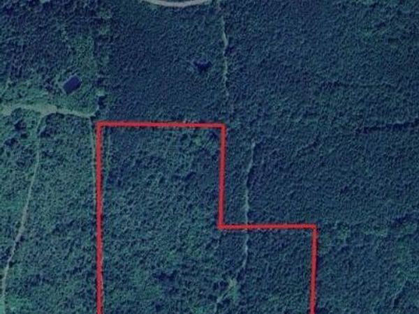 Carter Road, Macon, MS 39341