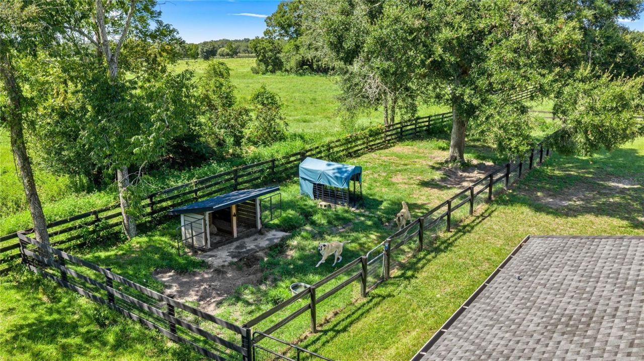 7770 NW 167th, Morriston, FL 32668 Photo