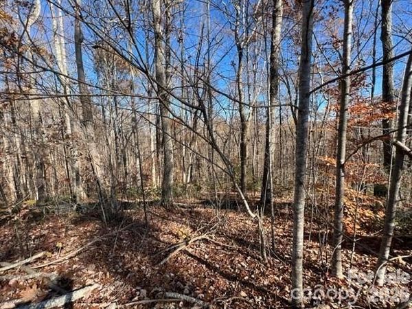 TBD Trail Ridge Drive , Marion, NC 28752