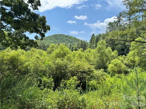 361 Rooster Cove, Brevard, NC 28712