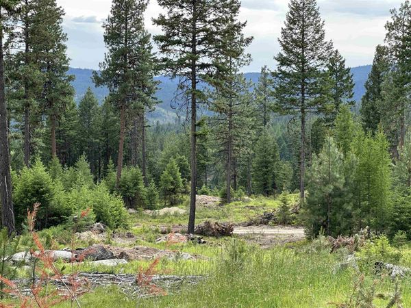36XX Lot A Sheridan Rd, Republic, WA 99166