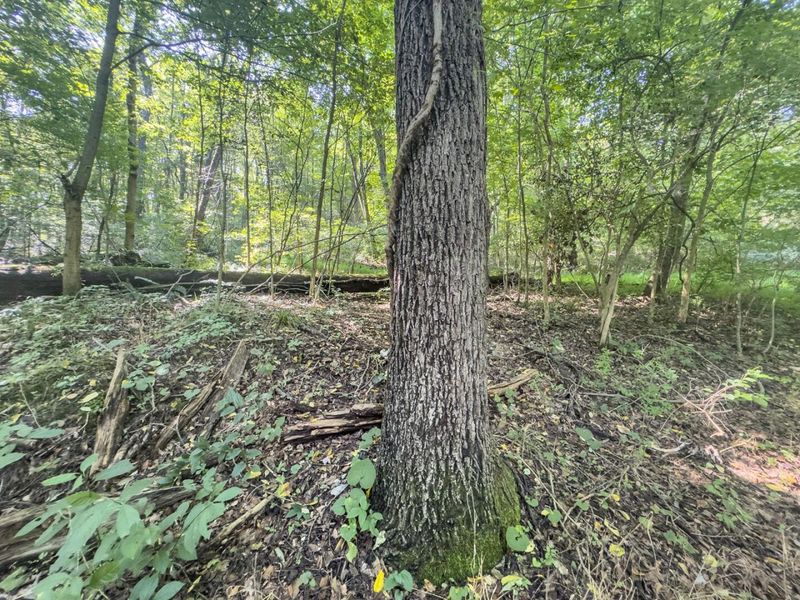 14050 Wolford Road NE, Newark, OH 43055 Photo 10