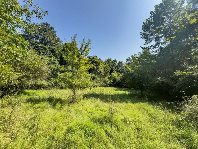 14050 Wolford Road NE, Newark, OH 43055 Photo 14