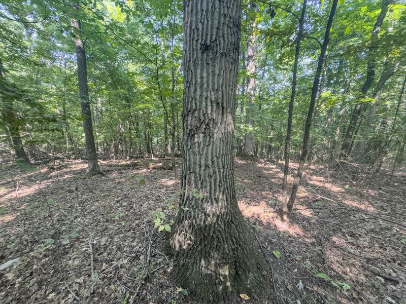 14050 Wolford Road NE, Newark, OH 43055 Photo 24