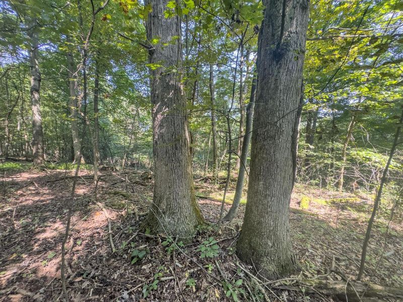 14050 Wolford Road NE, Newark, OH 43055 Photo 28