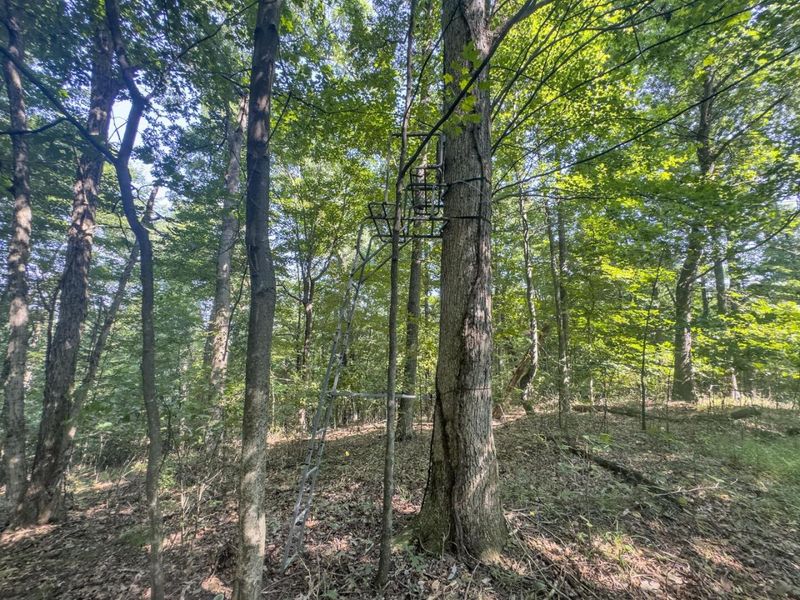 14050 Wolford Road NE, Newark, OH 43055 Photo 30