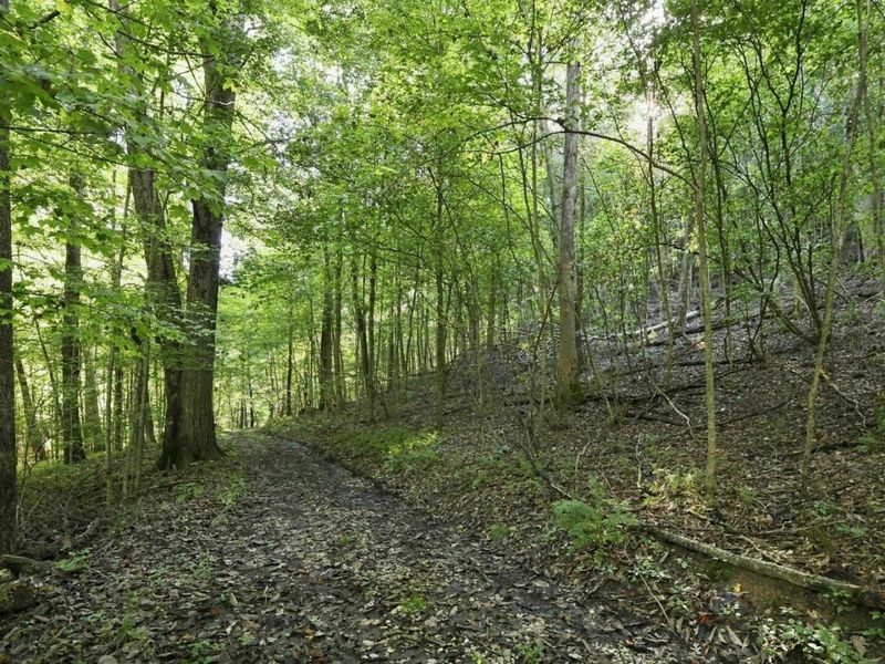 14050 Wolford Road NE, Newark, OH 43055 Photo 40