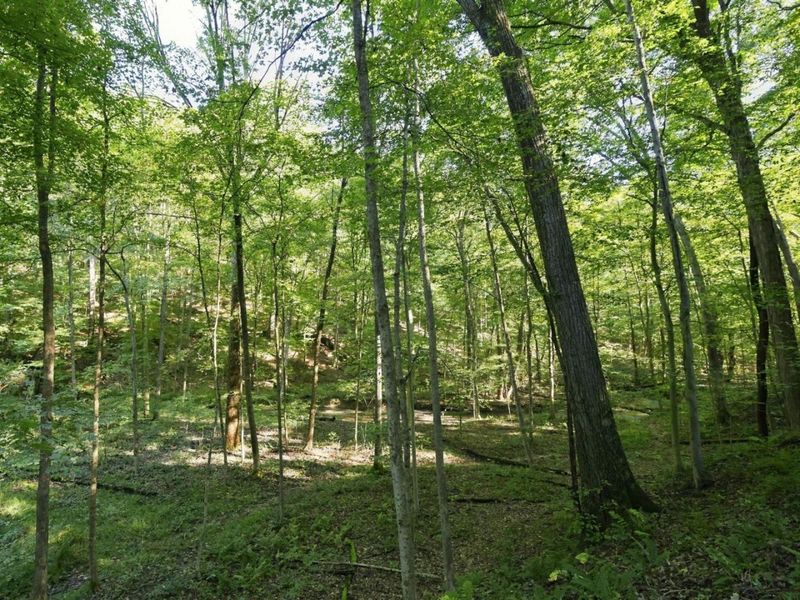 14050 Wolford Road NE, Newark, OH 43055 Photo 44