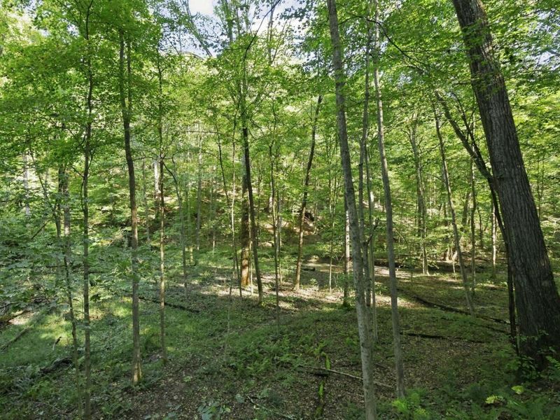 14050 Wolford Road NE, Newark, OH 43055 Photo 45