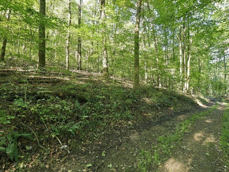 14050 Wolford Road NE, Newark, OH 43055 Photo 6