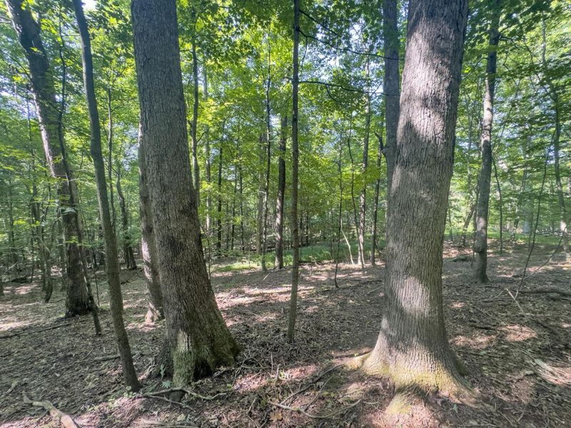 14050 Wolford Road NE, Newark, OH 43055 Photo 9
