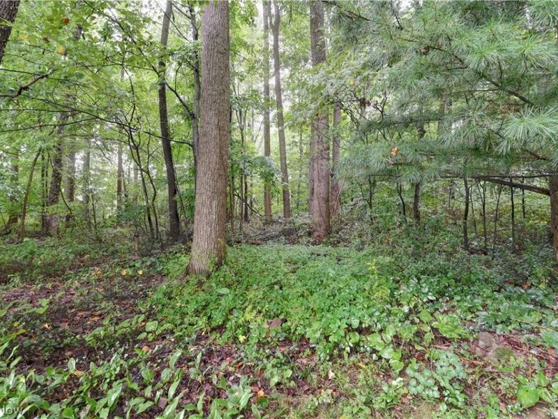 5771 County Road 407, Millersburg, OH 44654 Photo 35