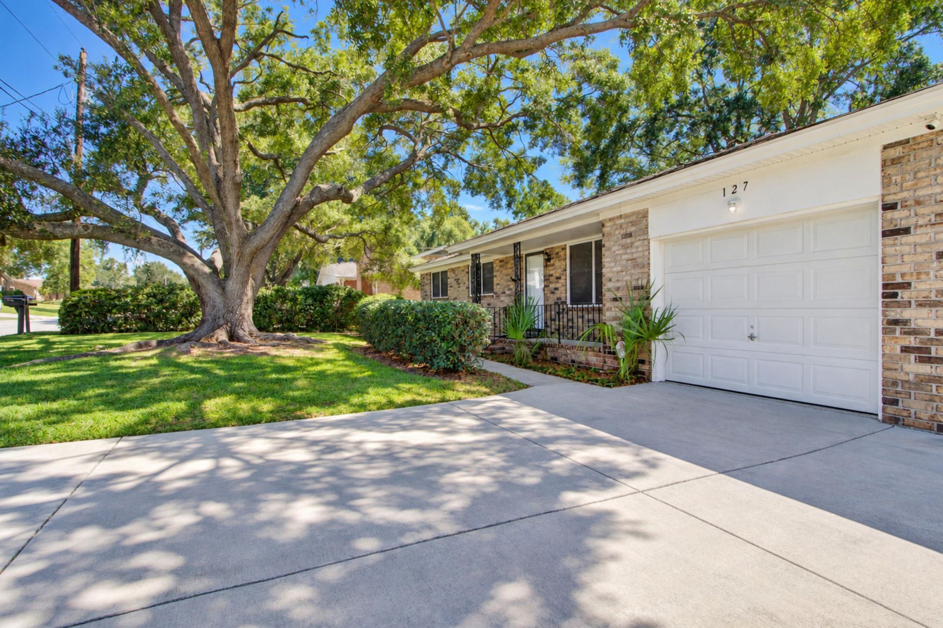 127 Clay Street Photo 5