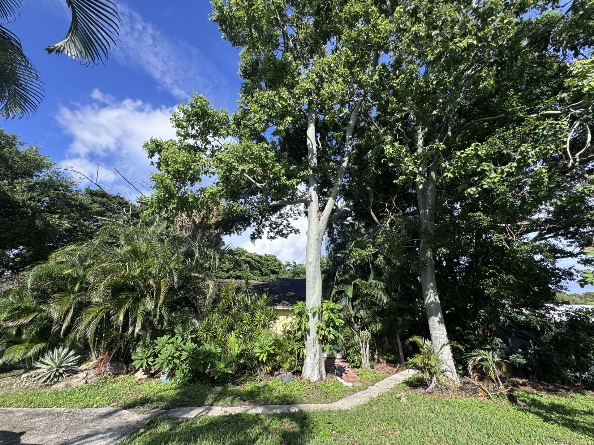 8975 Burma Road, West Palm Beach, FL 33403 Photo