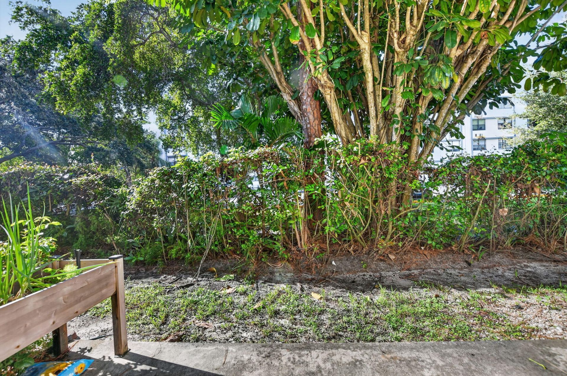 2557 Riverside Drive, Coral Springs, FL 33065 Photo