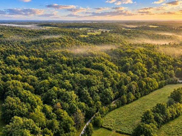 0 Dog Creek Road , Primm Springs, TN 38476