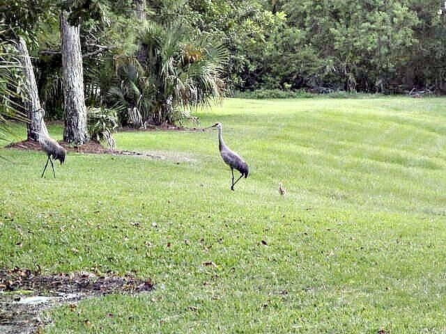 1604 SE Green Acres Circle, Unit T103, Port Saint Lucie, FL 34952 Photo