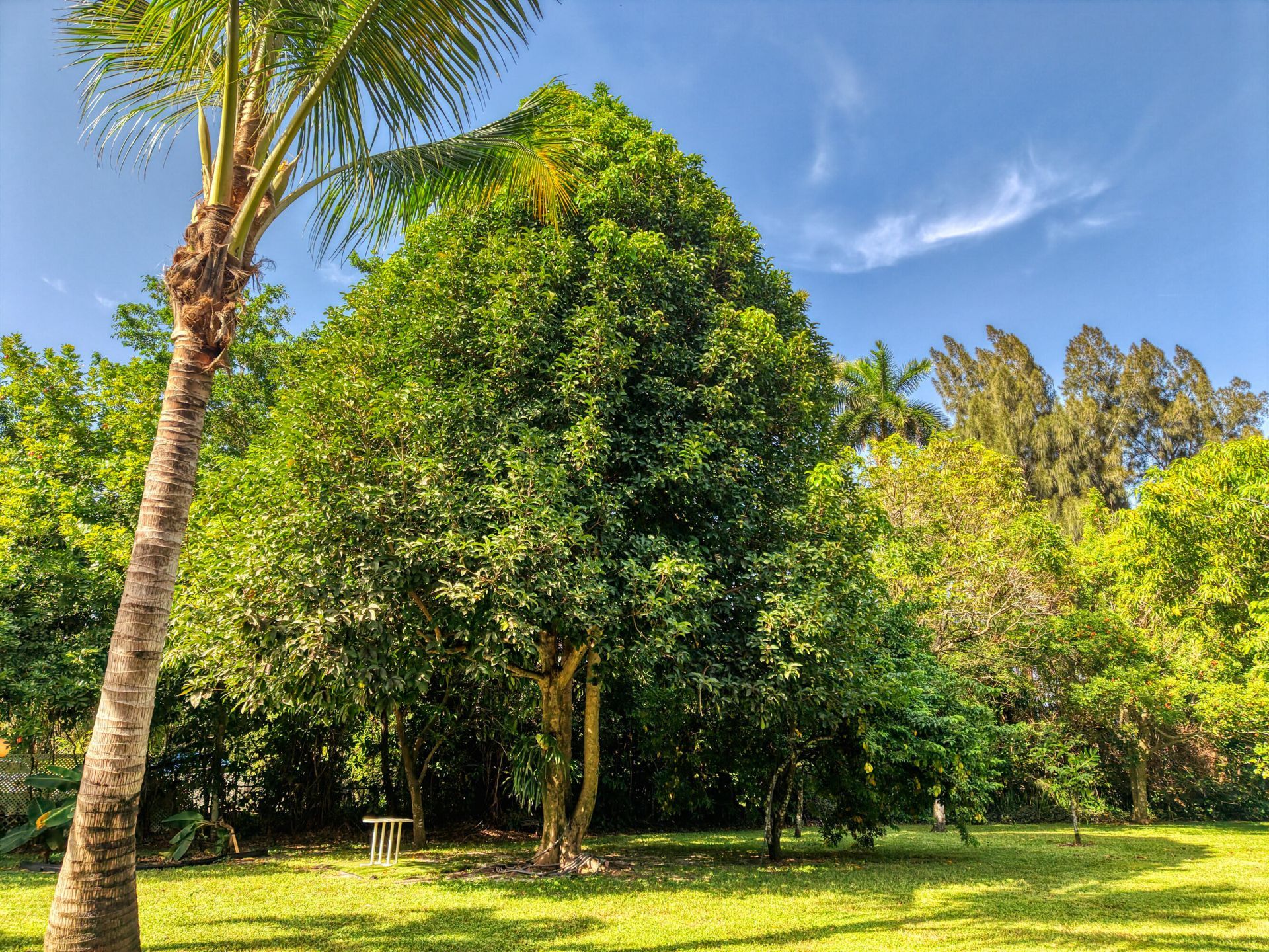 400 E Acre Drive, Plantation, FL 33317 Photo