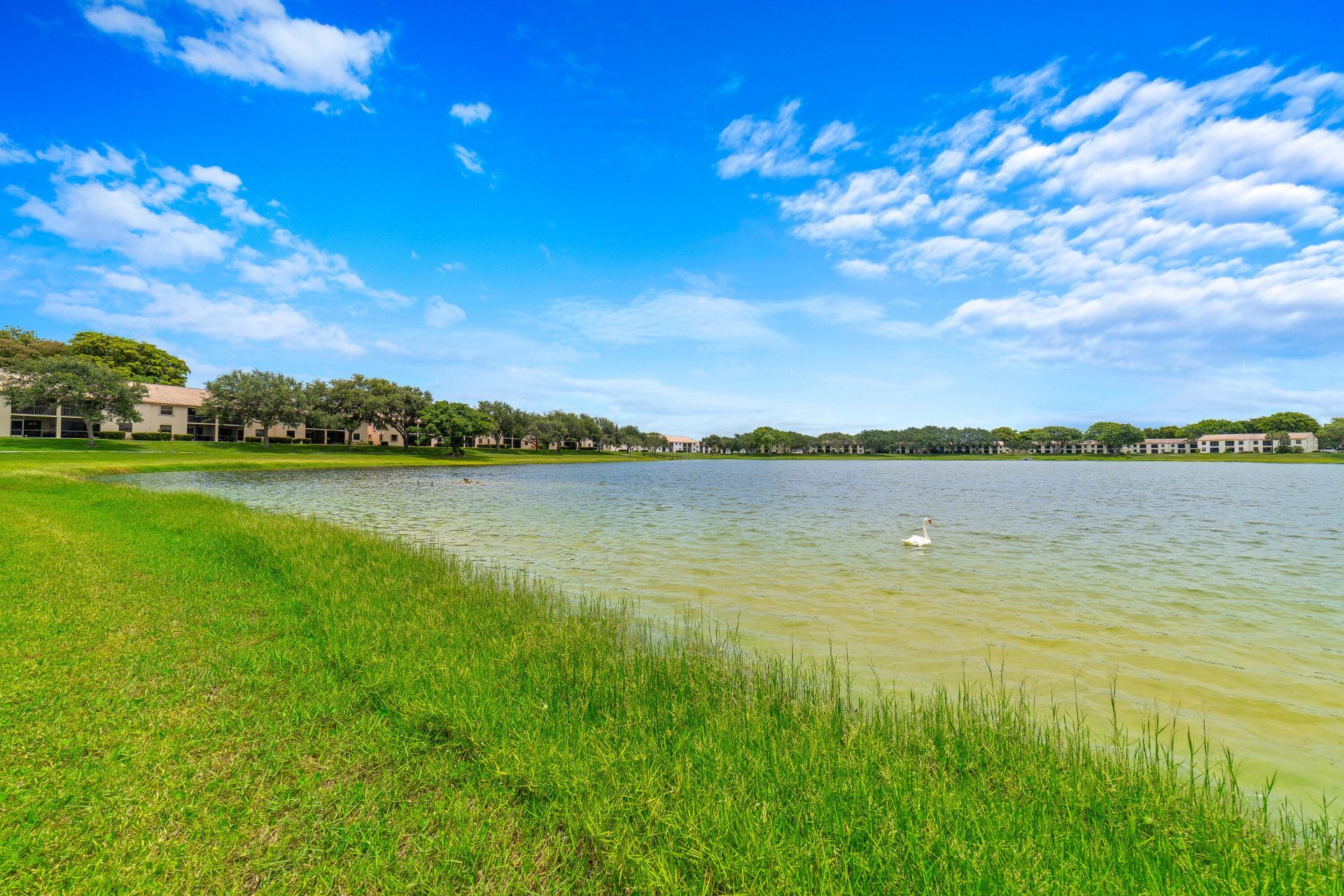 3117 Kingswood Terrace, Boca Raton, FL 33431 Photo