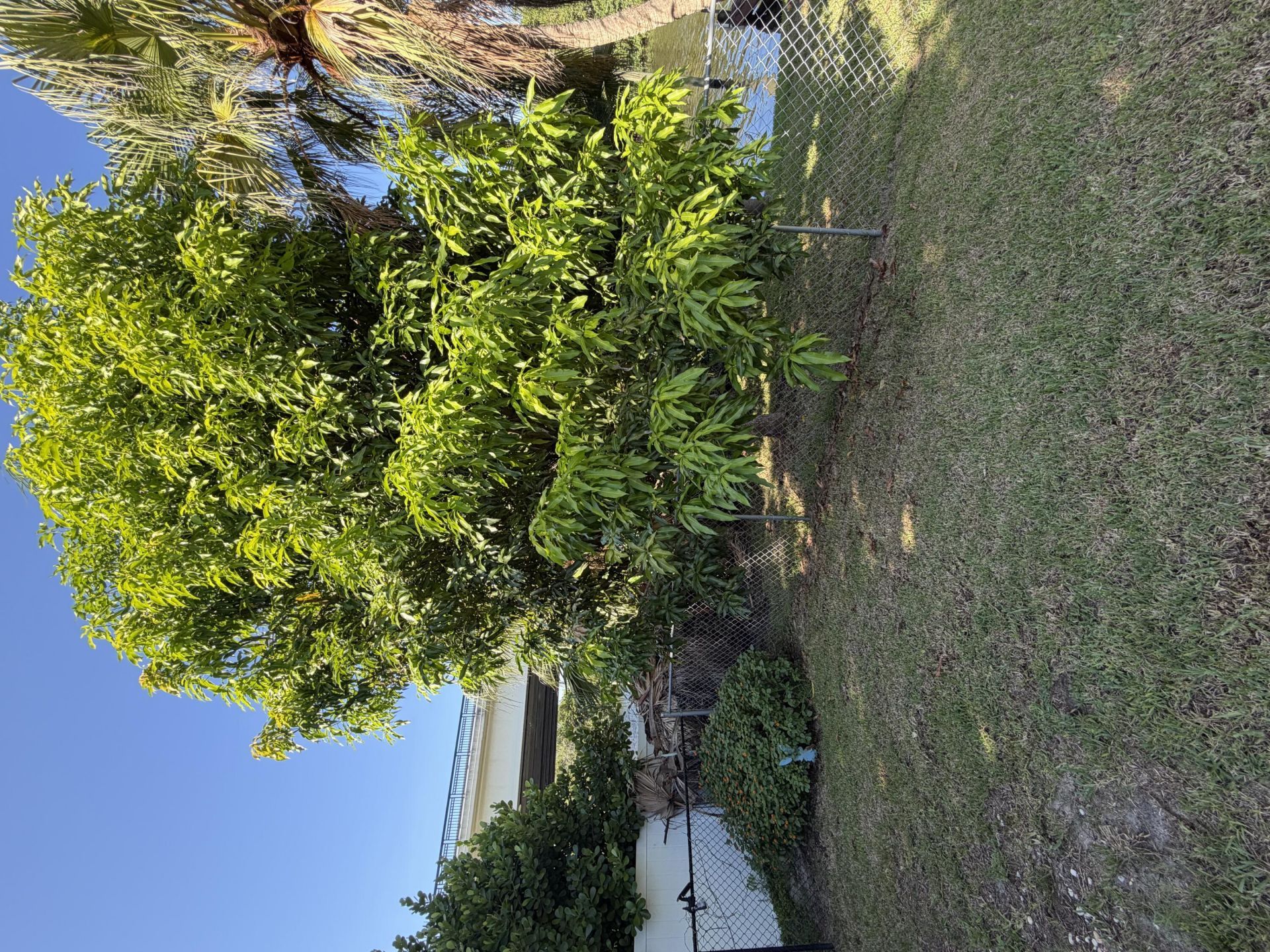 1219 SE Coral Reef Street, Port Saint Lucie, FL 34983 Photo
