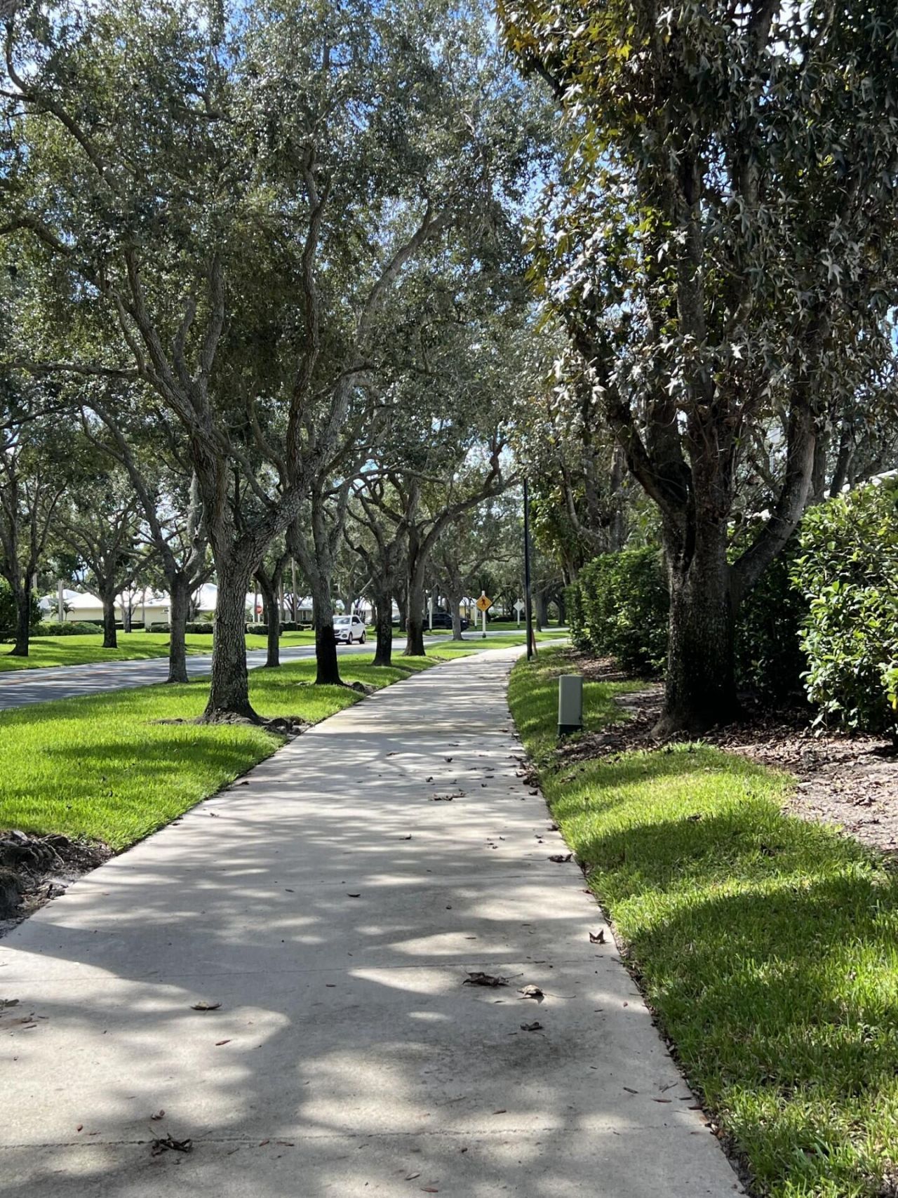 1555 SW Waterfall Boulevard, Palm City, FL 34990 Photo