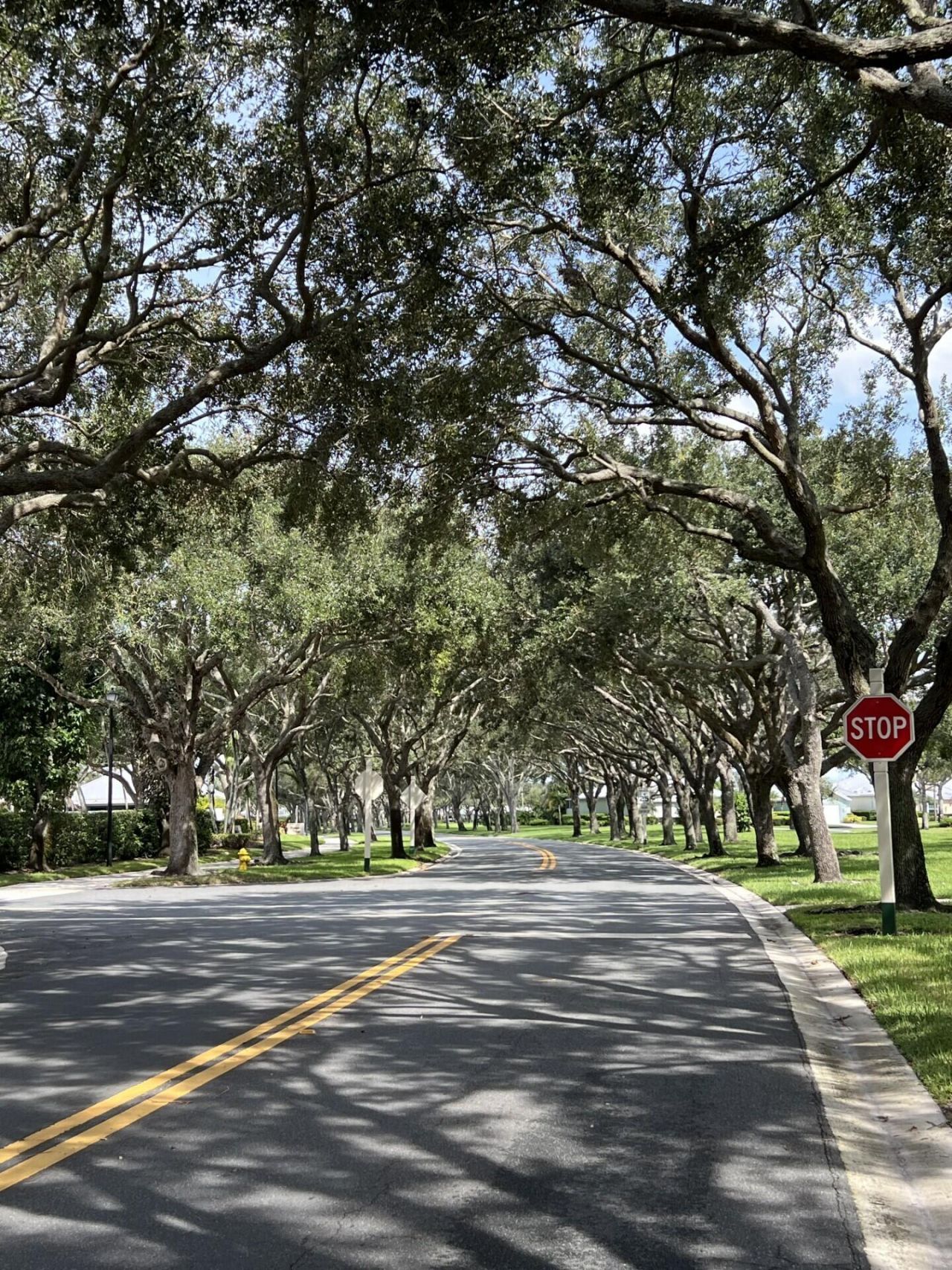1555 SW Waterfall Boulevard, Palm City, FL 34990 Photo