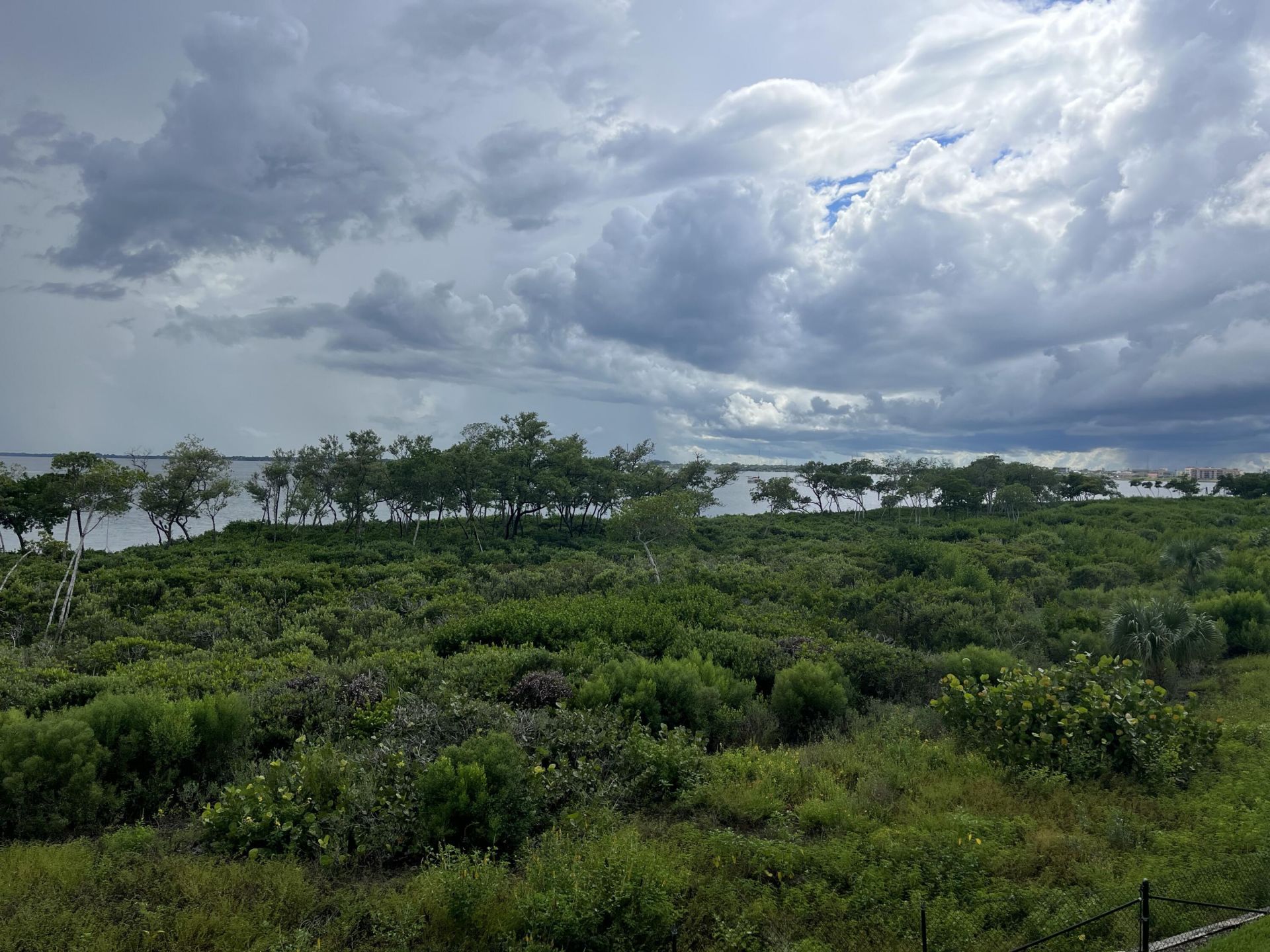 24 Harbour Isle Drive W, Unit 204, Fort Pierce, FL 34949 Photo