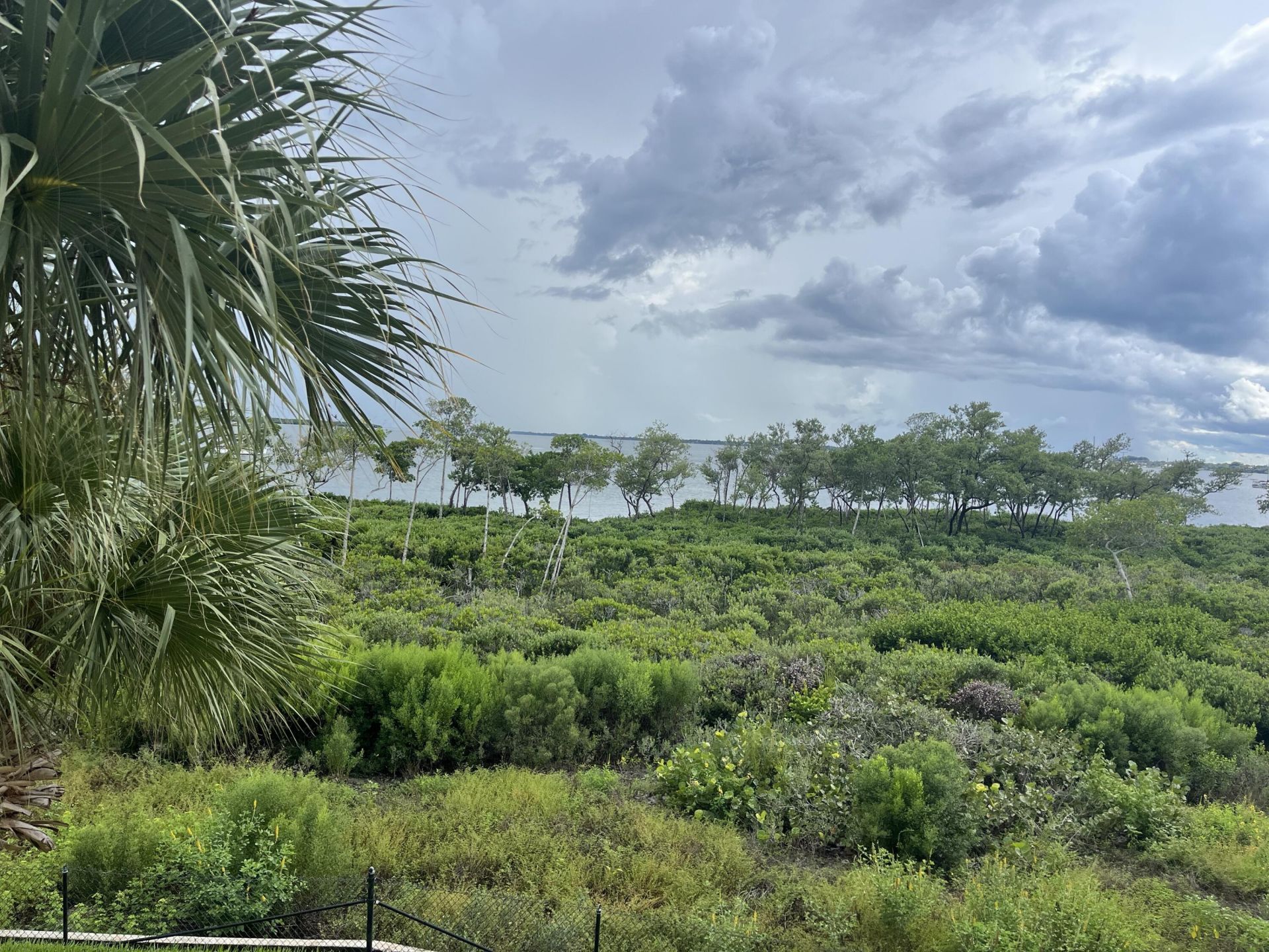 24 Harbour Isle Drive W, Unit 204, Fort Pierce, FL 34949 Photo