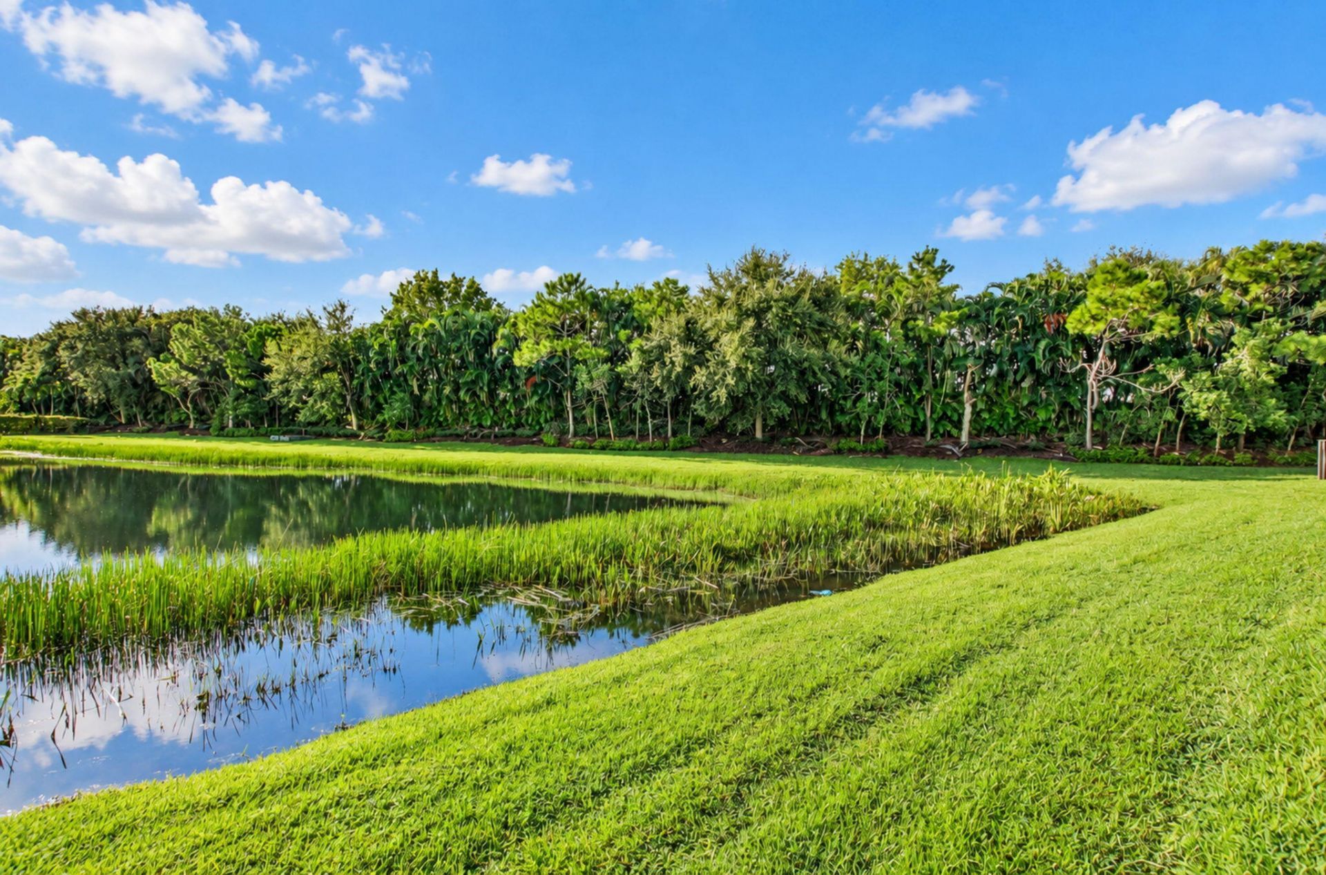 16876 Crown Bridge Drive, Delray Beach, FL 33446 Photo