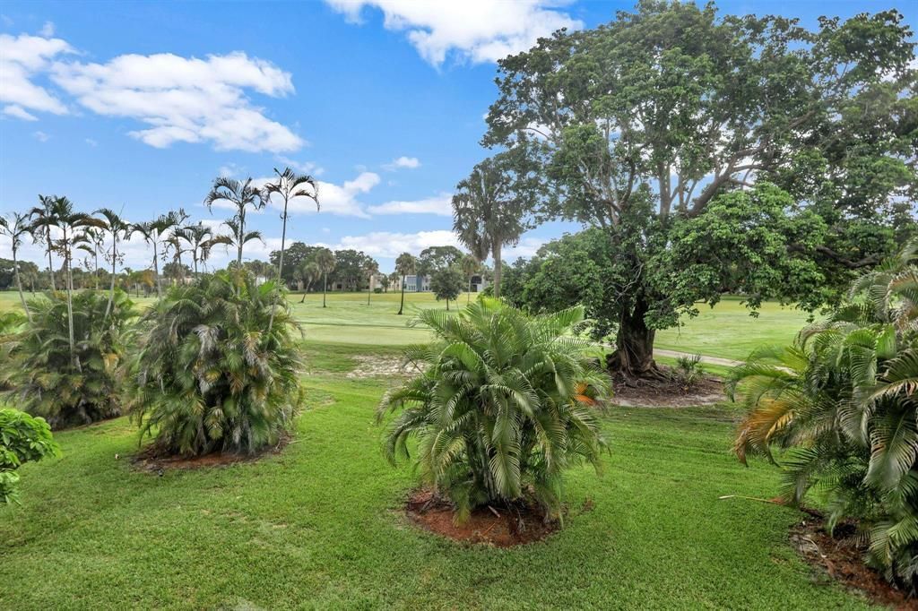 7624 NW 18th Street, Unit 407, Margate, FL 33063 Photo