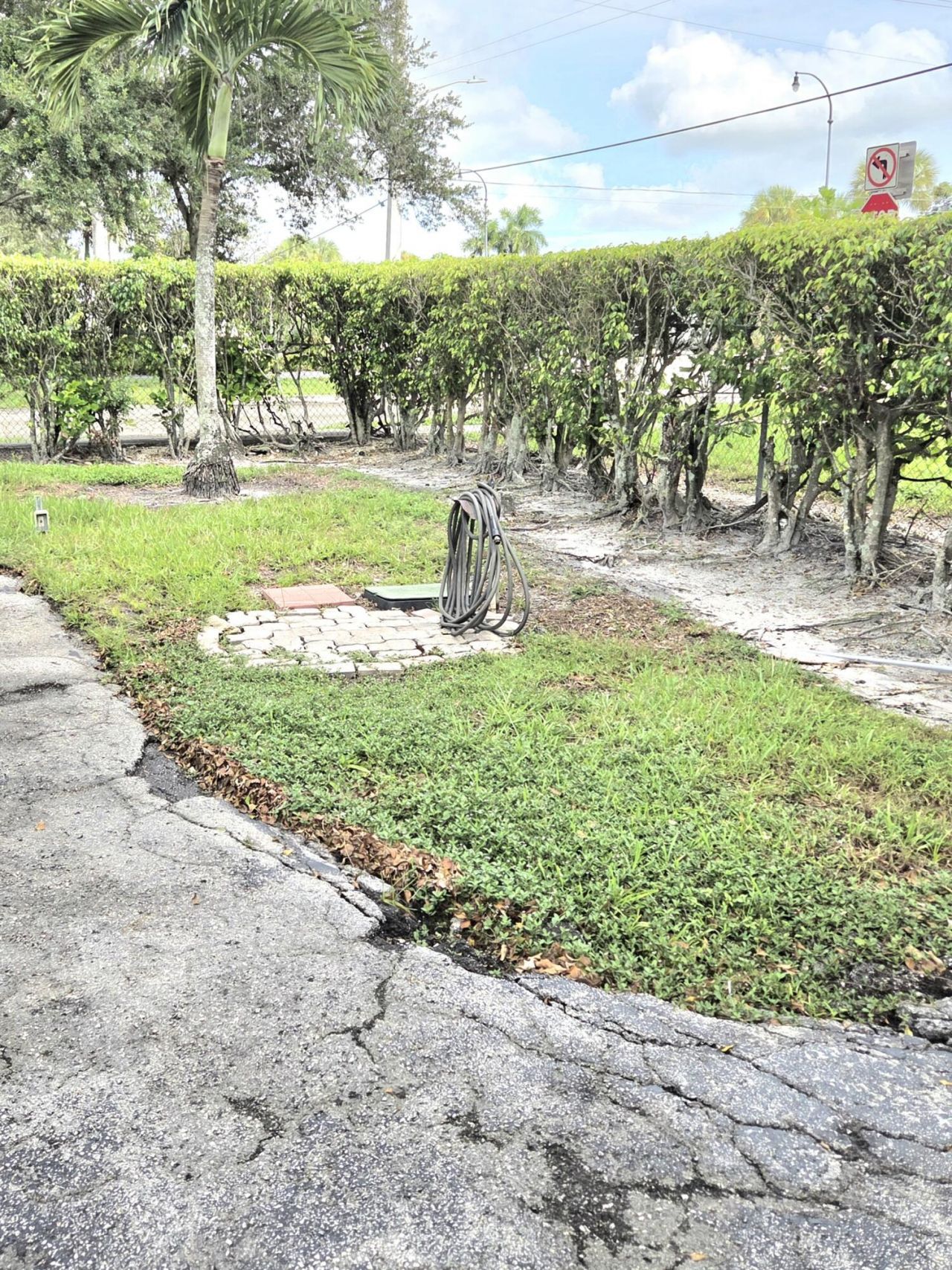 6655 W Broward Boulevard, Unit 203, Plantation, FL 33317 Photo
