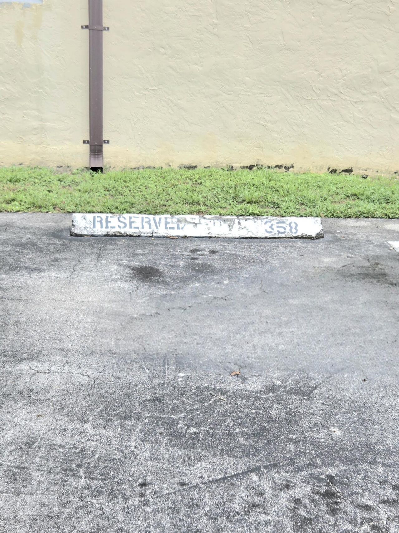 6655 W Broward Boulevard, Unit 203, Plantation, FL 33317 Photo