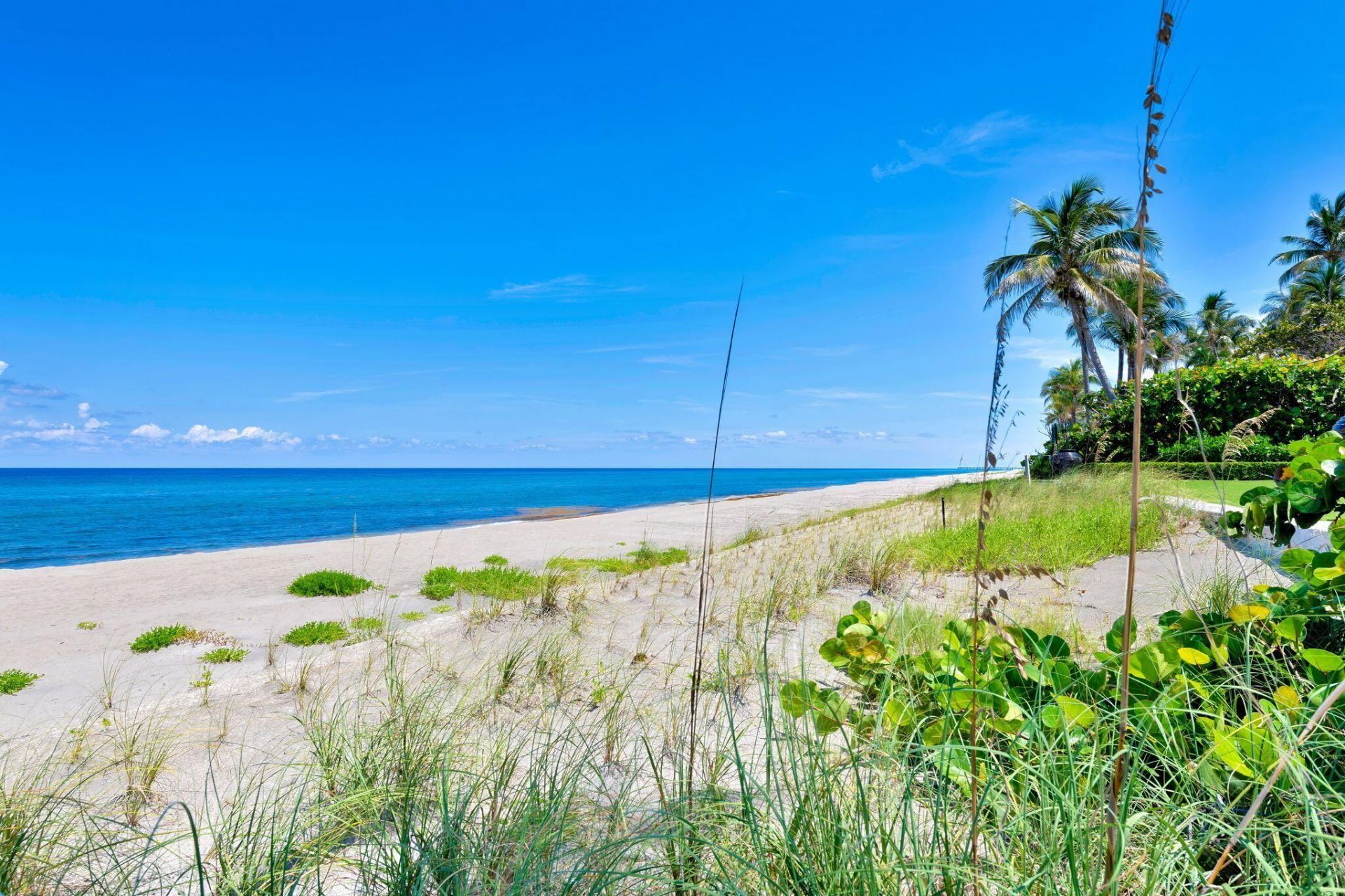 2295 S Ocean Boulevard, Unit 517, Palm Beach, FL 33480 Photo