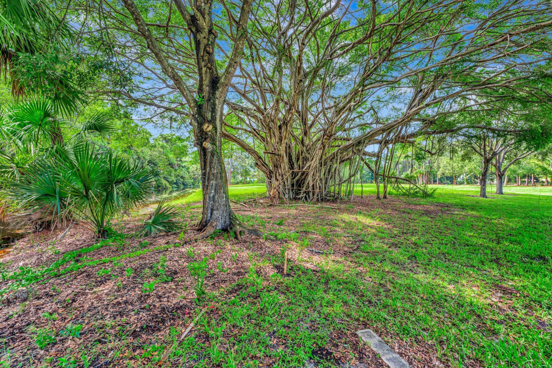 8267 Nashua Drive, Palm Beach Gardens, FL 33418 Photo