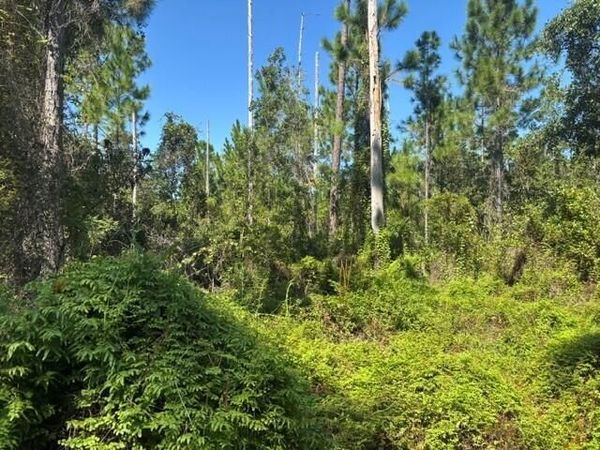 0 Hwy 630e, Frostproof, FL 33843