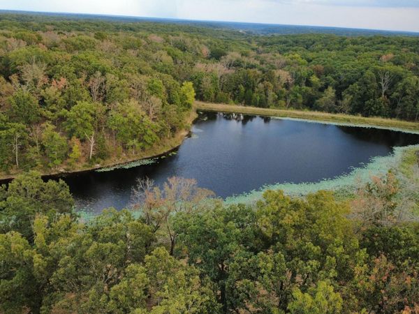 Tbd County Road 427 , Unit Xxx, Cross Timbers, MO 65634
