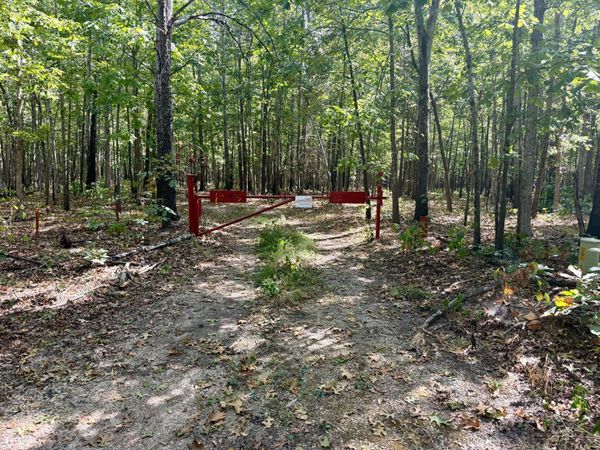 196 Forest Rd 9673 , Fremont, MO 63941