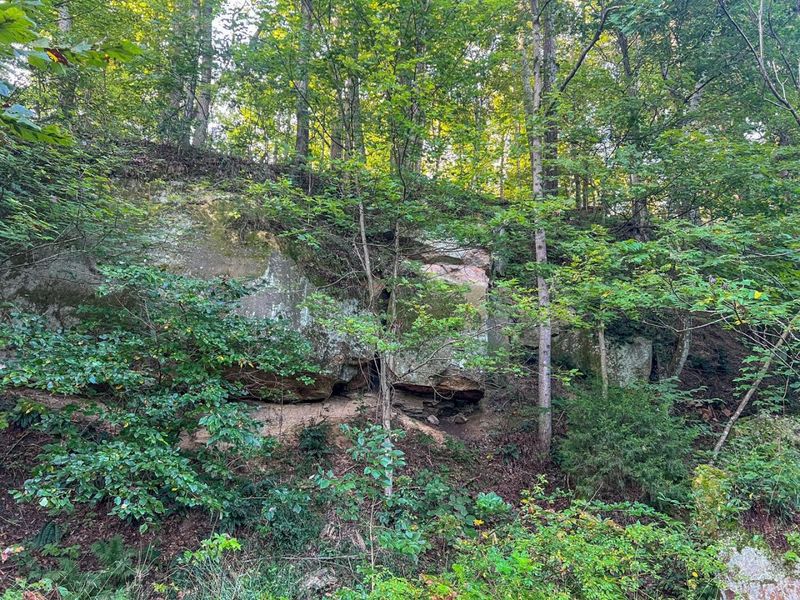 0 Ohio 124, Rutland, OH 45775 Photo 11