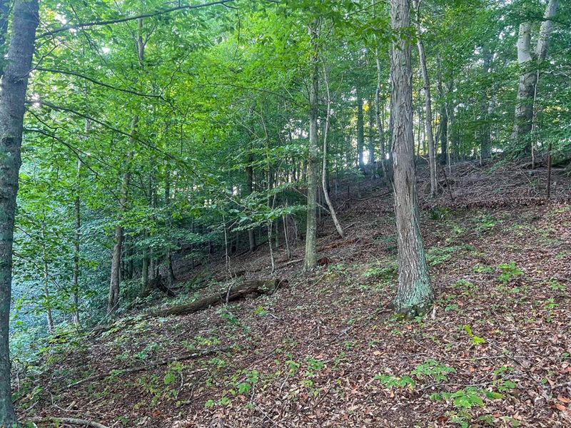 0 Ohio 124, Rutland, OH 45775 Photo 12