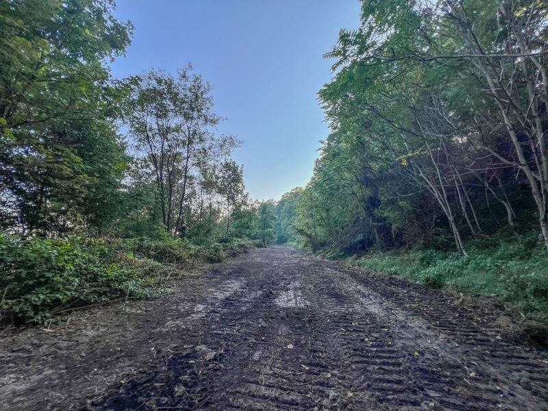 0 Ohio 124, Rutland, OH 45775 Photo 15