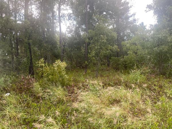 SPRING HILL, FL 34609