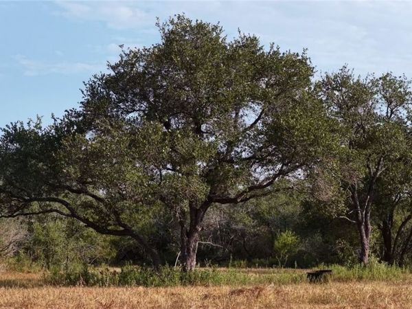 251 Old Goliad Road, Refugio, TX 78377