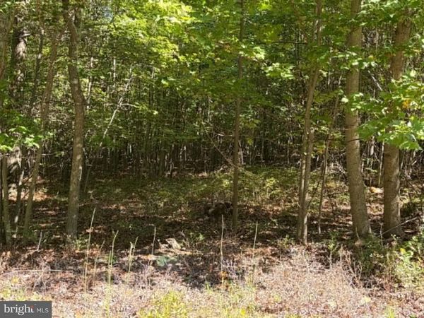 669 CAPON WOODS RESORT ROAD, Unit LOT 19, HIGH VIEW, WV 26808