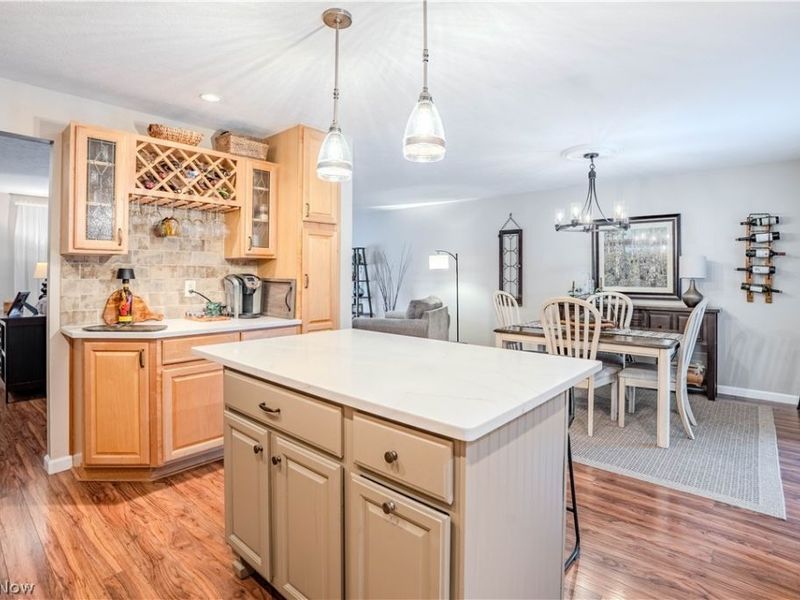 20566 Village Green Drive, Strongsville, OH 44149 Photo 20
